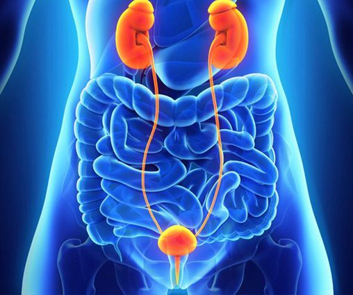 Uro oncology 1