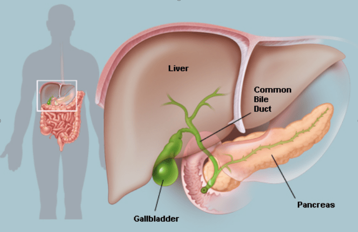 Gallbladder surgery in hyderabad